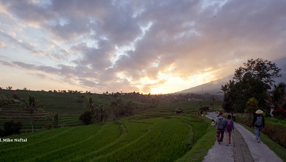 Wisata Pertanian Di Jatiluwih Bali